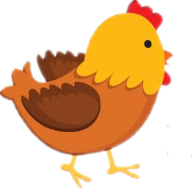 Stage Four: Adult Chicken